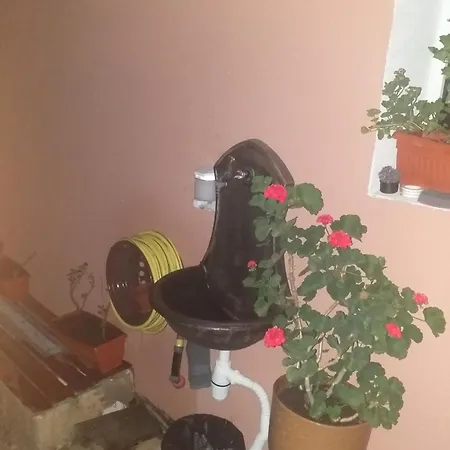 Semesterbostad градина Aheloy