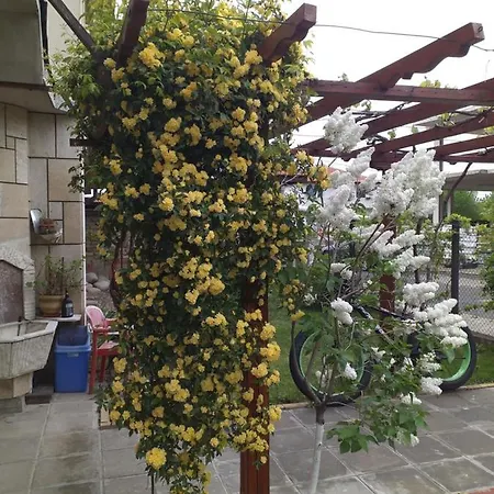 градина בית נופש אהלוי